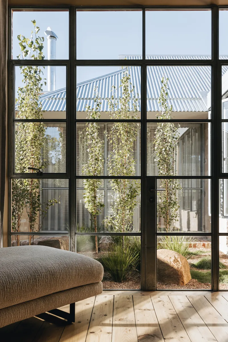 Steel-framed window looking onto internal courtyard with climbing vines and corrugated roof beyond