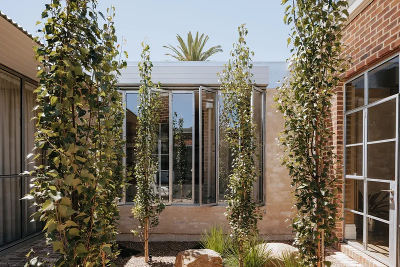 Interior courtyard with young trees planted in gravel and glazed doors beneath a white steel canopy
