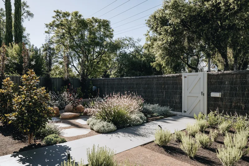 Garden path with planted beds of lavender and grasses leading to a white timber gate