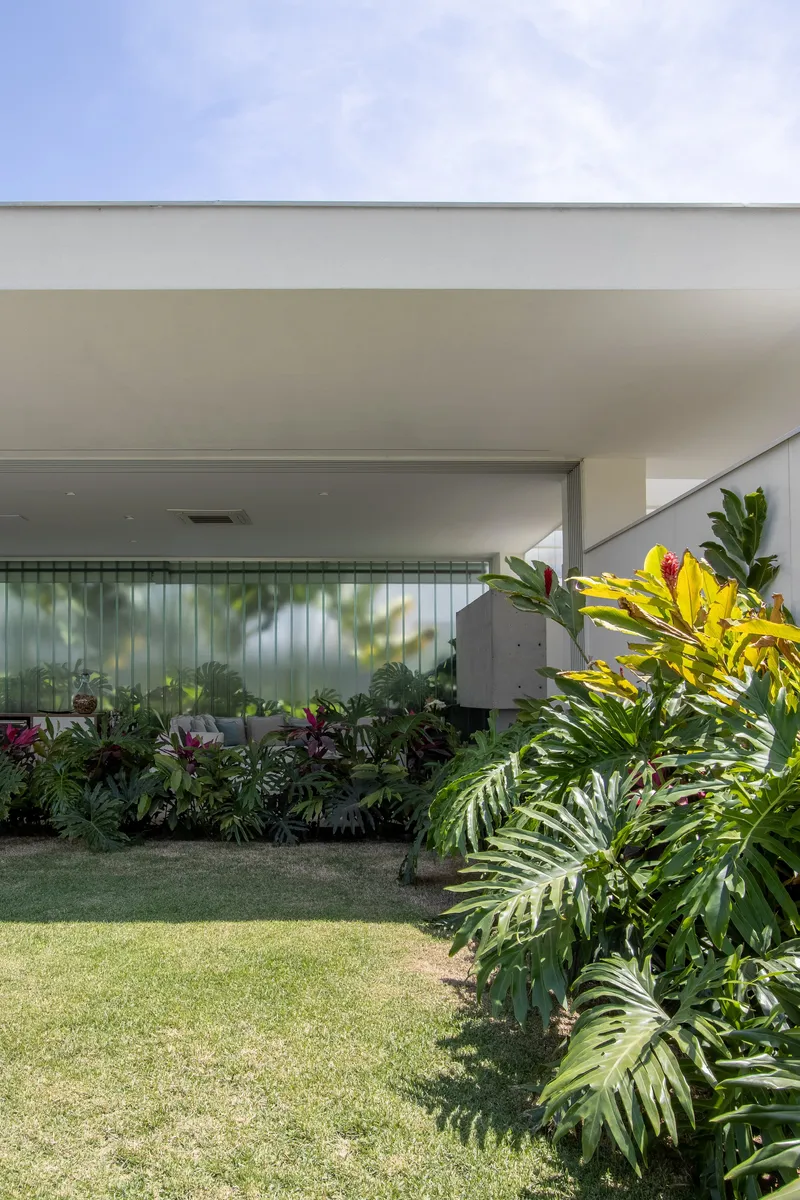 Garden bed with ferns and colorful foliage beneath covered terrace in afternoon light