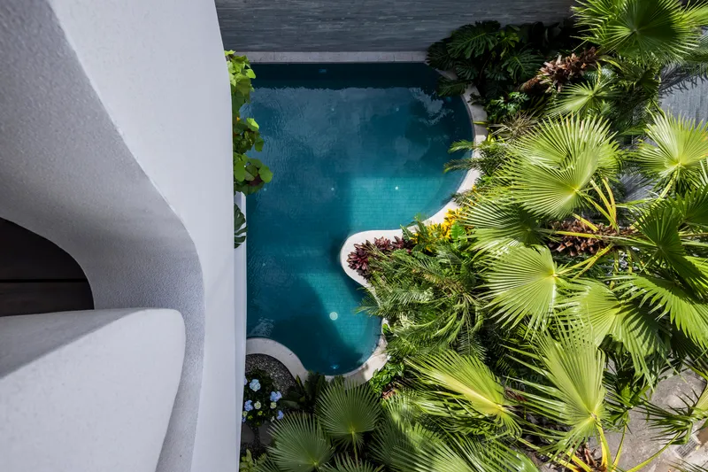Aerial view of a freeform pool surrounded by palms and curved balconies