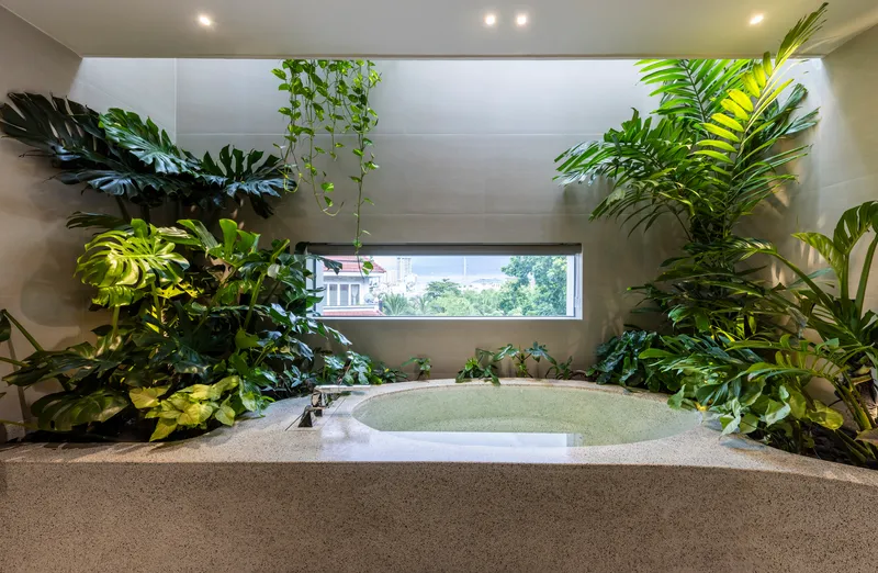 Bathtub surrounded by monstera and hanging vines beneath a skylight and horizontal window