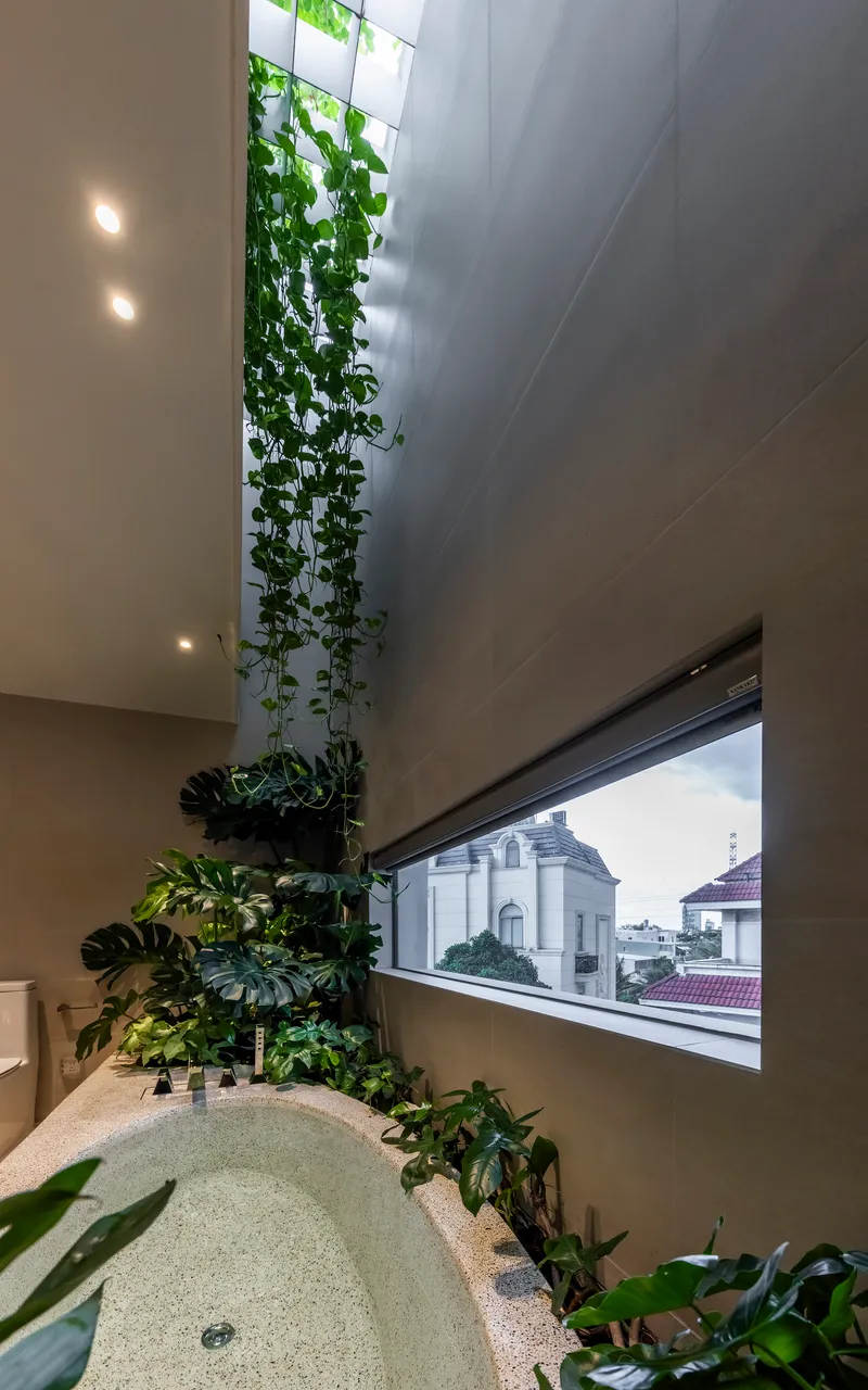 Double-height bathroom corner with trailing plants cascading from a skylight above the tub