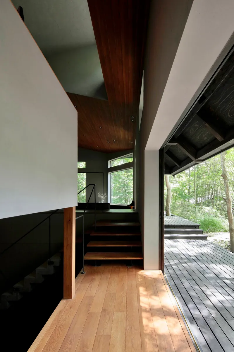 Timber staircase connecting interior levels with folded wood ceiling overhead