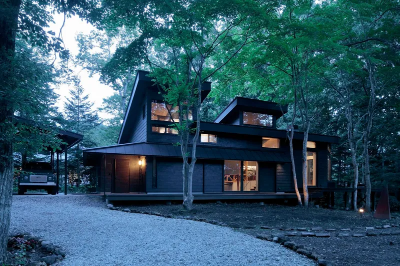 Dark wood-clad volumes with angled rooflines nestled among birch trees at dusk