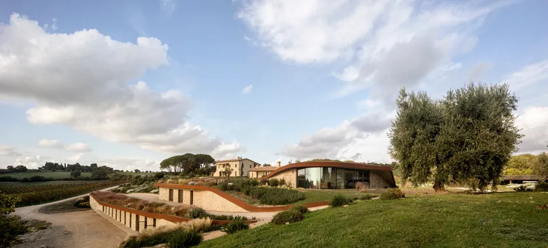 Low curved building with a grass roof nestled into the landscape with olive trees and vineyards