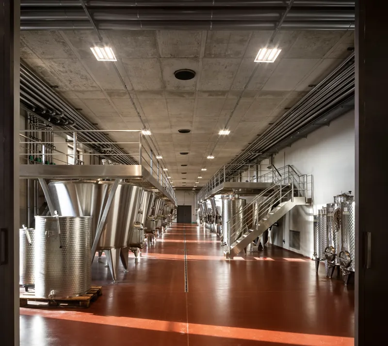 Production hall with stainless steel fermentation tanks beneath exposed concrete ceiling and mezzanine walkways