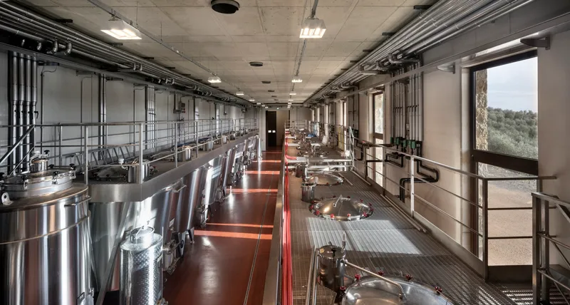 Long view of fermentation room showing steel tanks, elevated catwalks, and window overlooking hillside vineyard