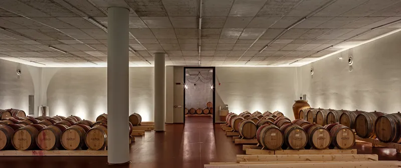 Underground barrel cellar with cylindrical concrete columns and perimeter cove lighting