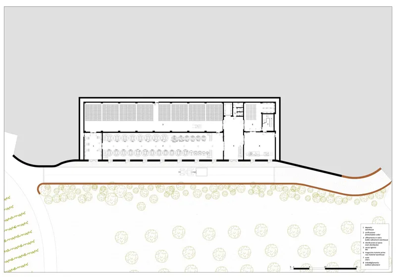 Section drawing through a barrel storage hall with terraced vineyard slope
