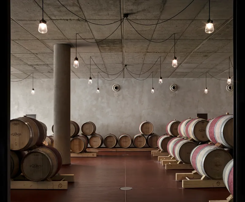 Barrel cellar with exposed concrete ceiling, pendant lights on draped cables, and wine casks on timber racks