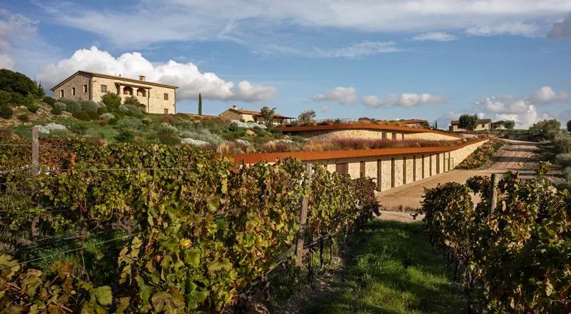 Planted roof structure emerging from vineyard rows with farmhouse on hilltop beyond