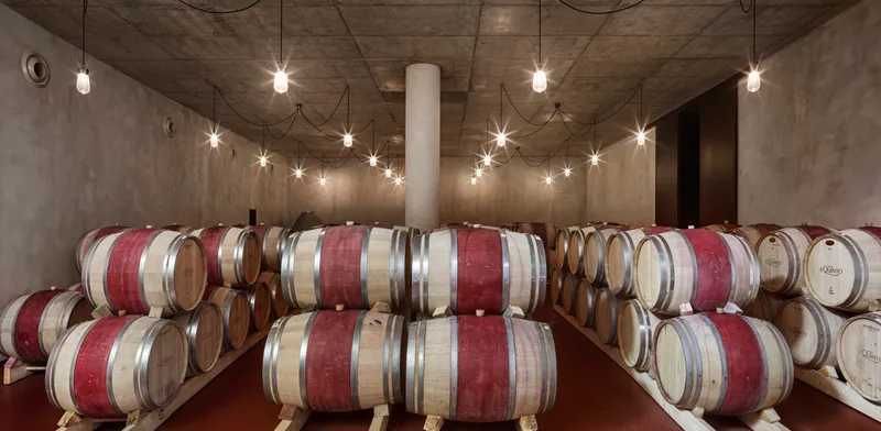 Barrel room with exposed concrete ceiling and string lights illuminating stacked wine barrels