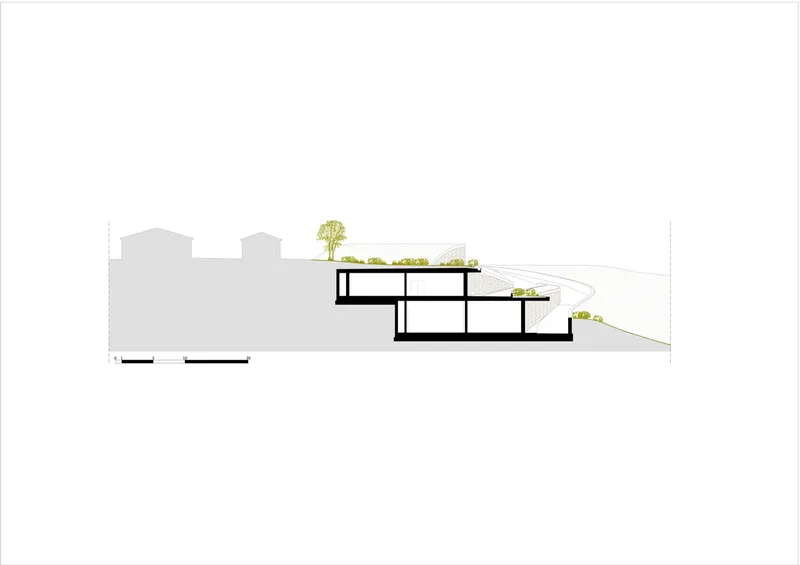 Section drawing illustrating stepped interior levels following the descending topography with roof planting above