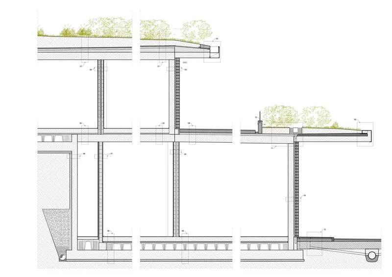 Detail section drawing of roof assembly with planted green roof layer and structural framing connections