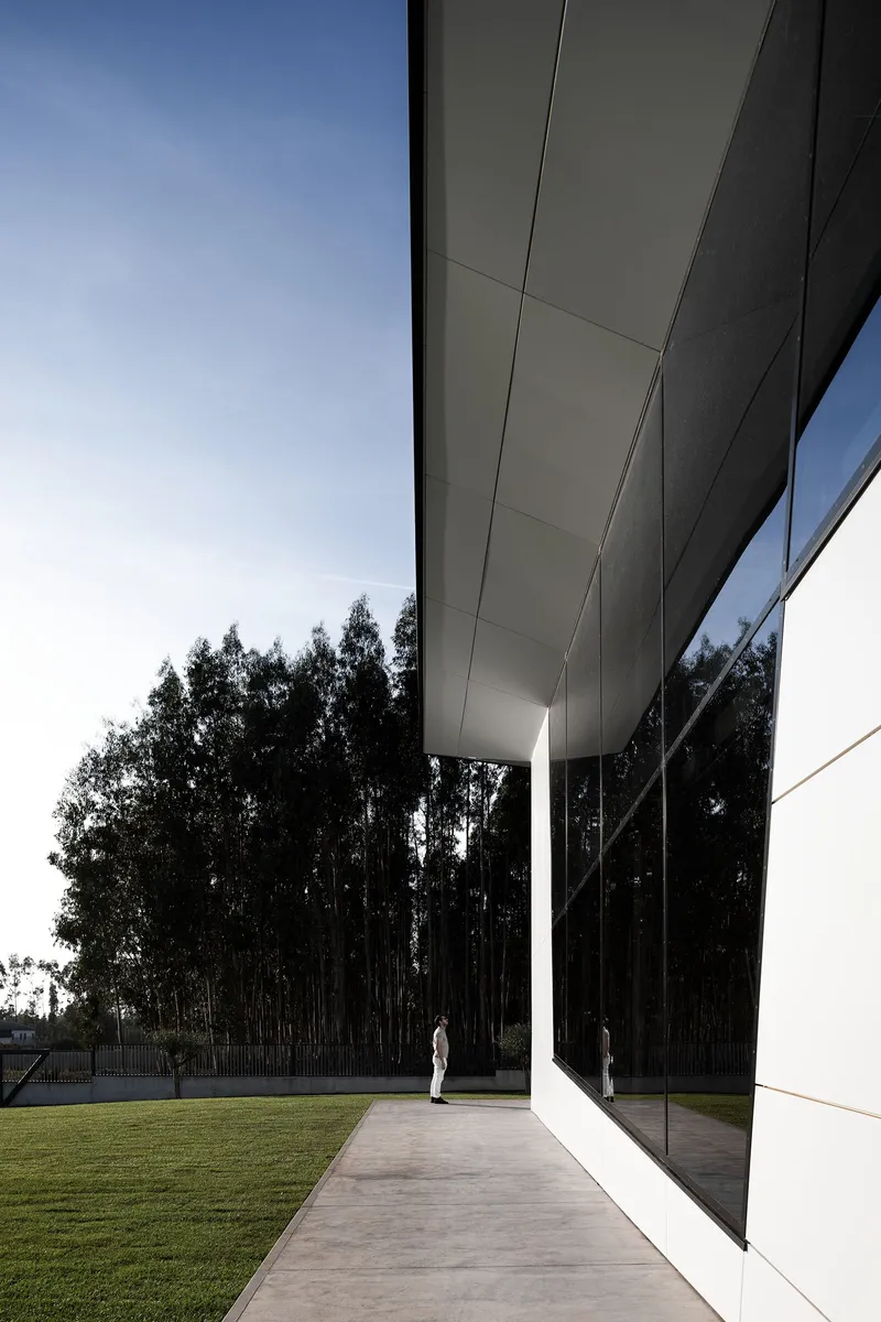 Cantilevered edge framing landscape and reflecting vertical rhythms of trees.