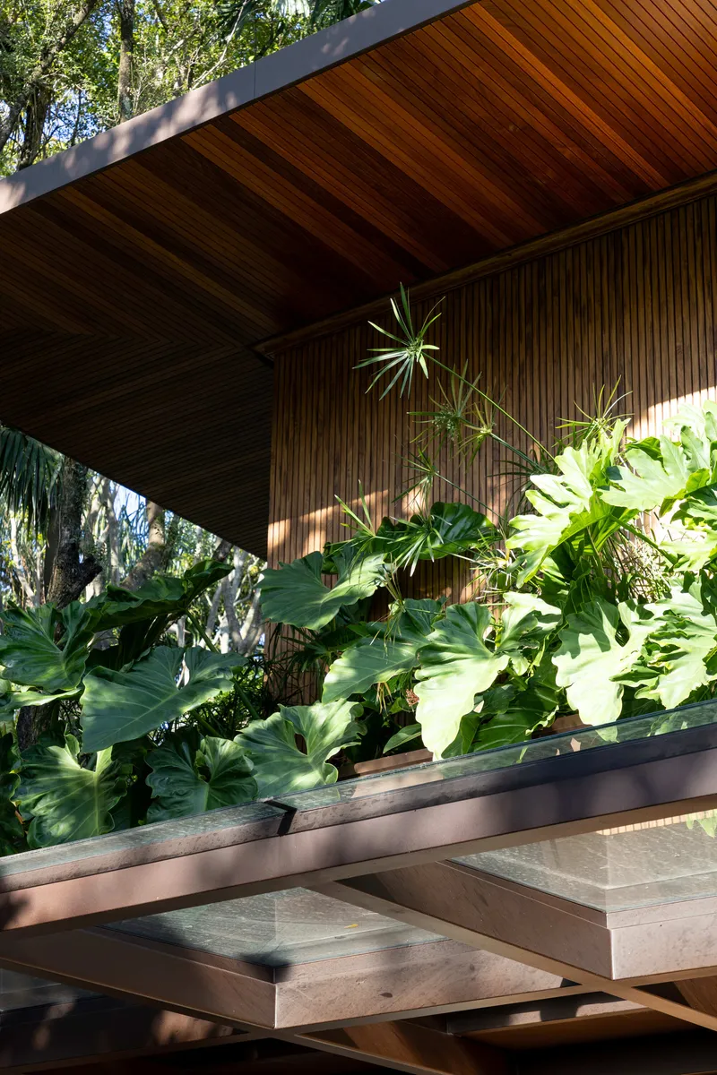Timber soffit and vertical slat facade above a planted bed with large tropical foliage in dappled sunlight
