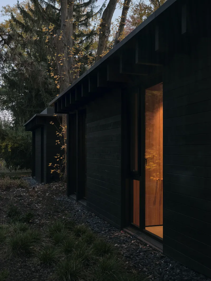 Black timber facade with glazed door glowing warmly at dusk among conifers