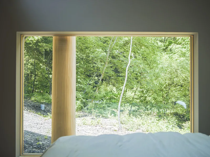 Corner window framing birch trees and gravel ground beyond a timber column