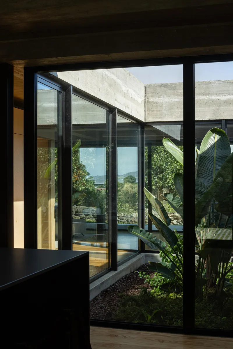 Glazed door looking into a sunlit courtyard with banana plants beneath a diagonal concrete beam