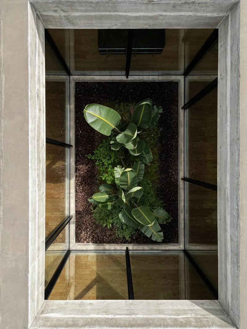 Top-down view into a courtyard with banana plants and grasses in dark soil framed by concrete beams