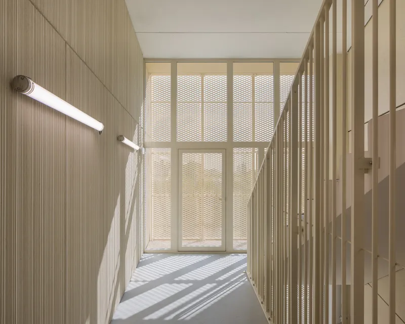 Stairwell with timber slat walls and translucent glass screen filtering soft natural light across steps