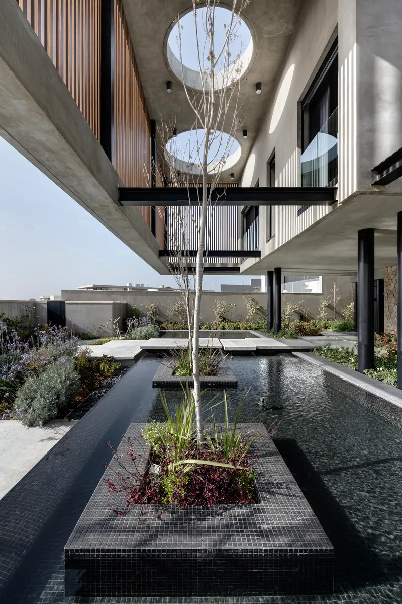 Central courtyard pool with tiled planting island and young tree beneath circular roof openings