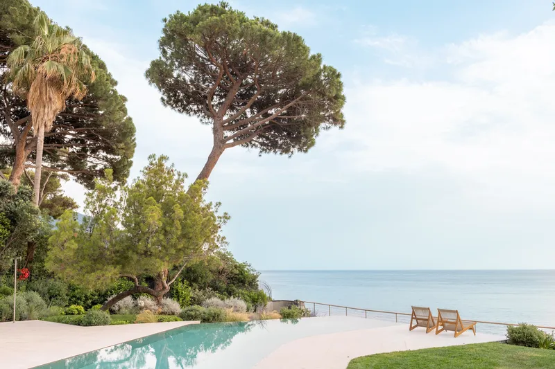 Infinity pool terrace with two lounge chairs overlooking the sea beneath a leaning pine tree