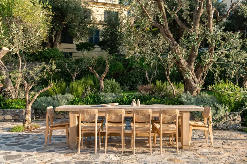 Outdoor timber dining table and chairs on stone paving beneath olive trees