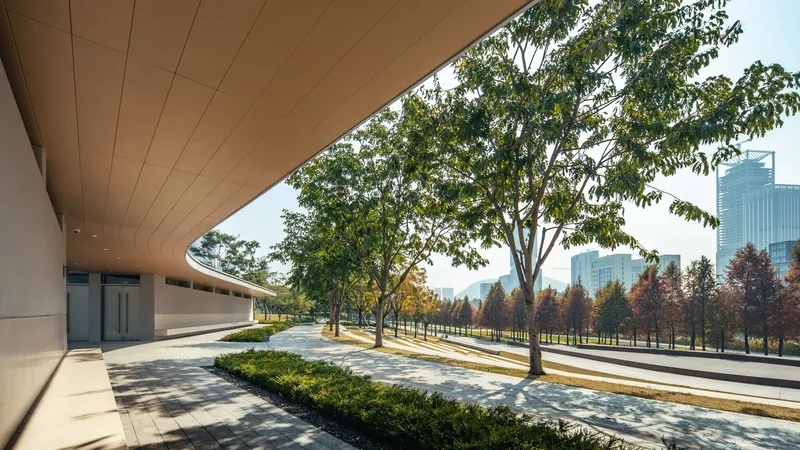 Covered walkway with timber ceiling overlooking a tree-lined pedestrian promenade in autumn light