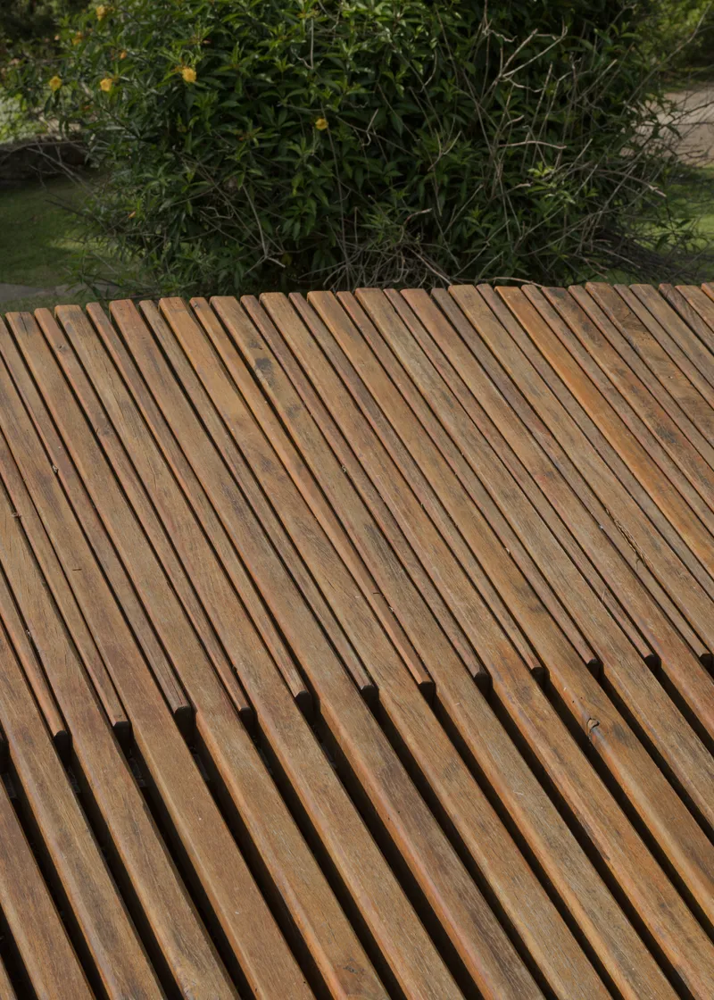 Detail of curved timber slat deck surface meeting dense flowering shrubs at the edge
