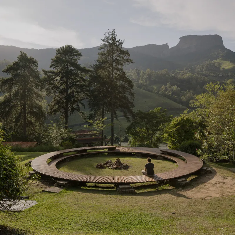 Circular timber deck with central fire pit and seated figure in lawn surrounded by tall pines