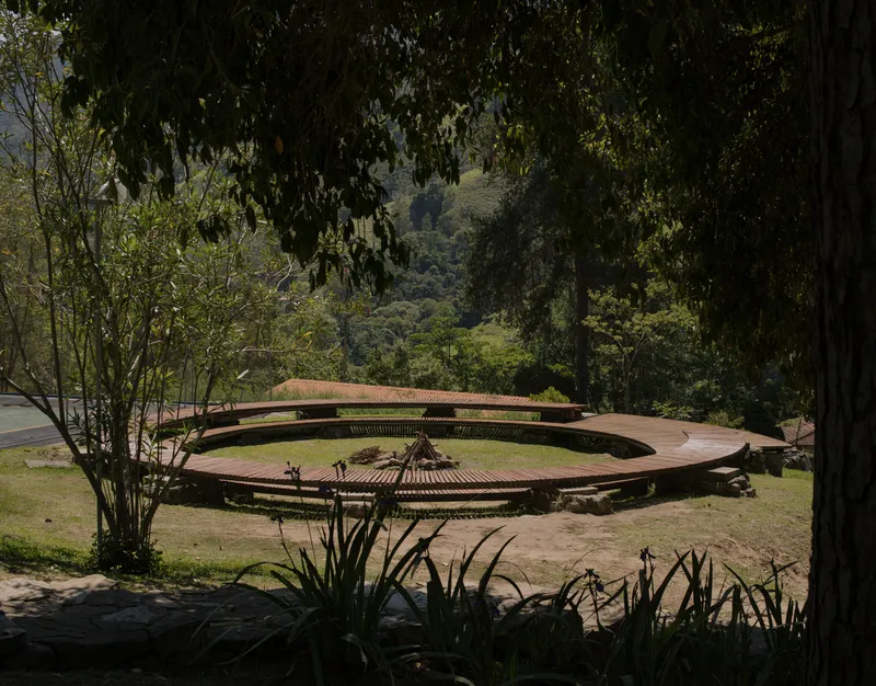 Curved wooden deck viewed through foreground grasses and shade of overhanging trees
