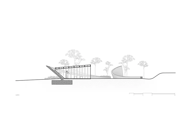 Section drawing revealing a partially buried volume with glazed walls and a planted roof canopy among scattered trees
