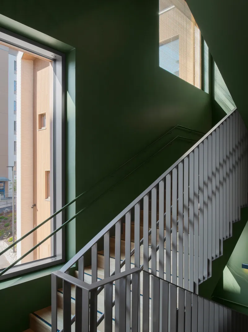 Stairwell with dark green walls and grey vertical slat balustrade illuminated by morning sunlight