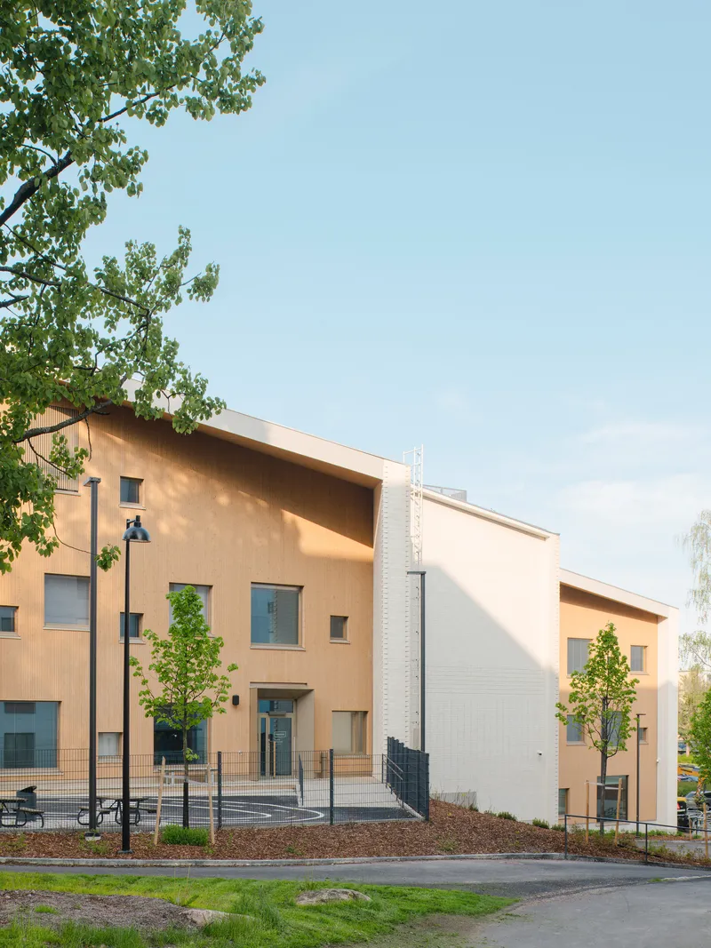 Street view of the timber-clad entrance facade with young trees in late afternoon light