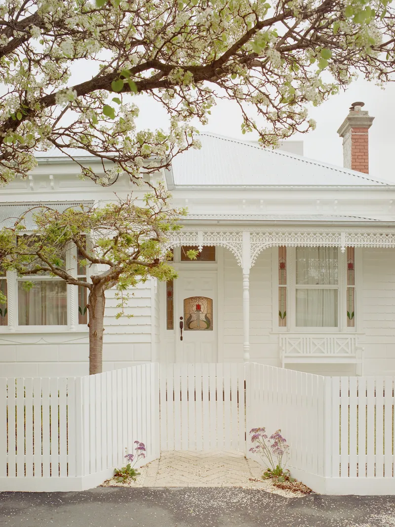 White weatherboard cottage with lace verandah trim behind a white picket fence and flowering tree canopy
