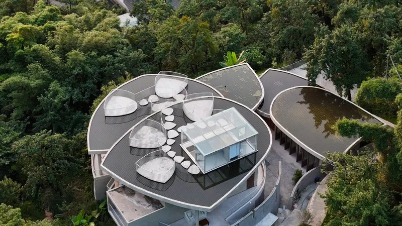 Top-down view of the roof showing petal-shaped volumes with ribbed surfaces and central glazed pavilion