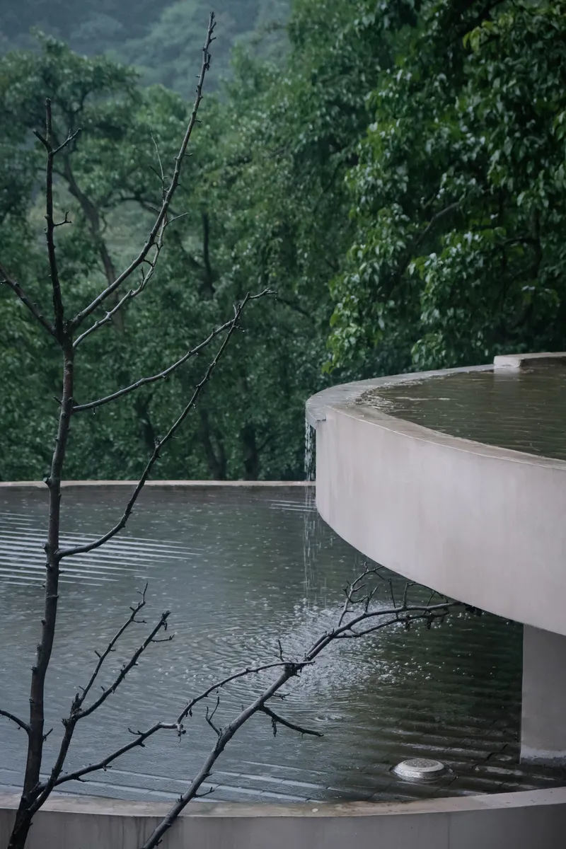 Curved concrete terrace edge with rainwater overflow beside bare tree branches in wooded setting