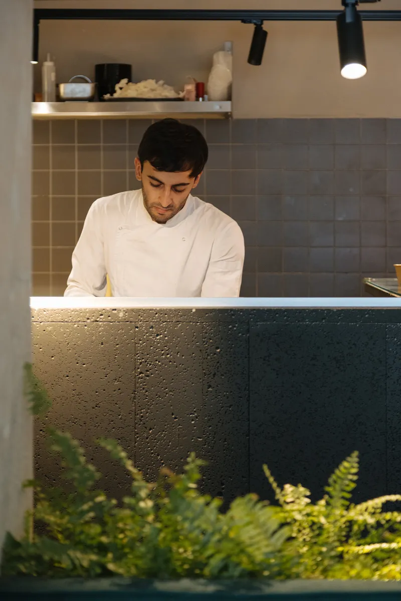 Service counter with integrated strip lighting above textured dark base and ferns in foreground