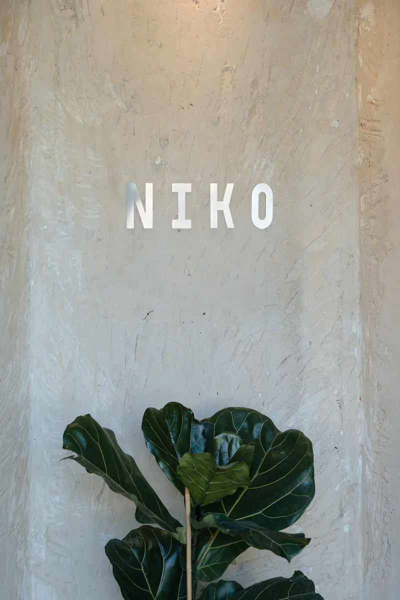 White lettering mounted on distressed plaster wall above a potted fiddle-leaf fig plant
