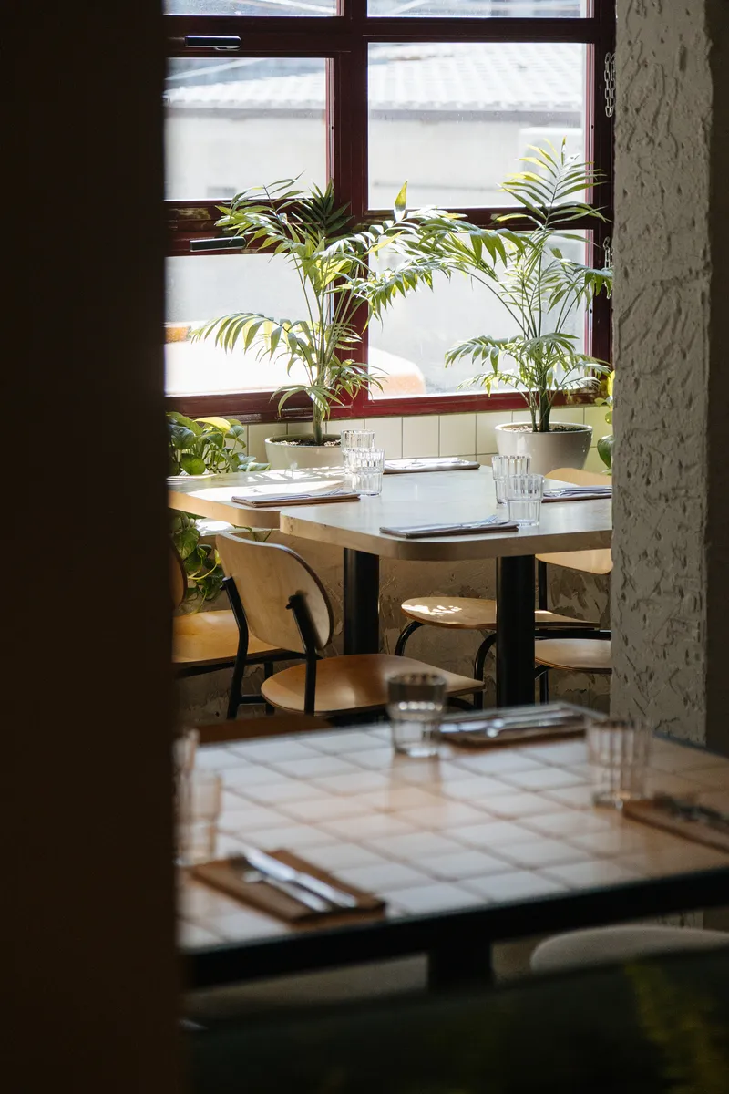 Dining tables set beneath a window with potted palms on the sill in daylight