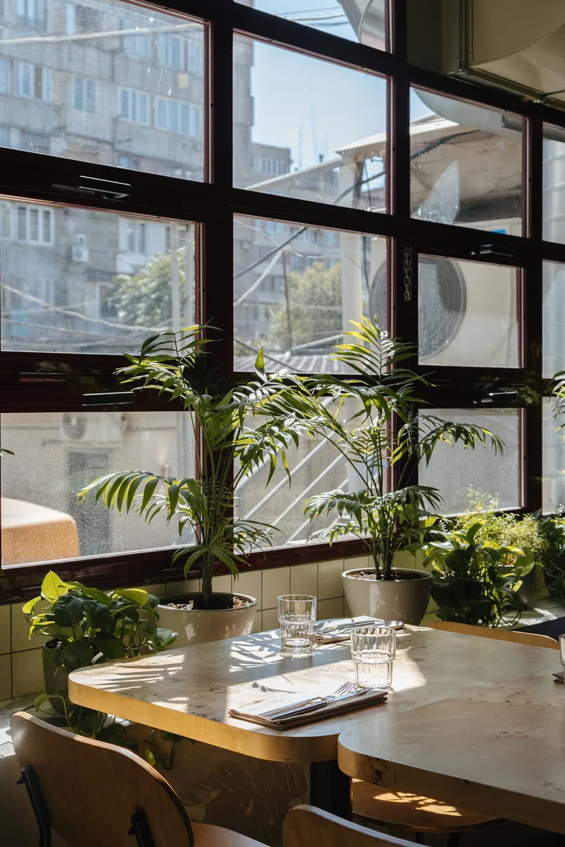 Window table with plants catching sunlight through dark metal grid framing