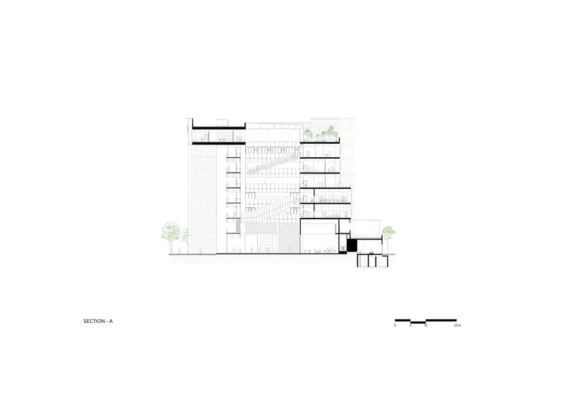 Section drawing showing a multi-story volume with staggered floors and rooftop planting