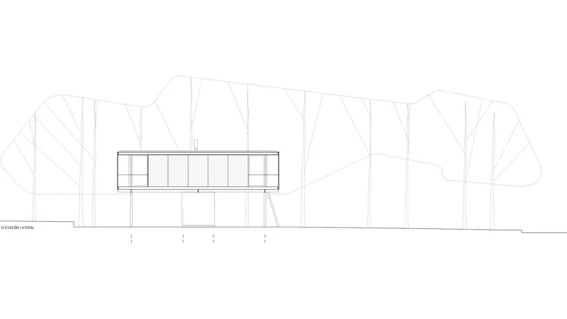 Elevation drawing showing the elevated glazed volume on stilts among surrounding trees