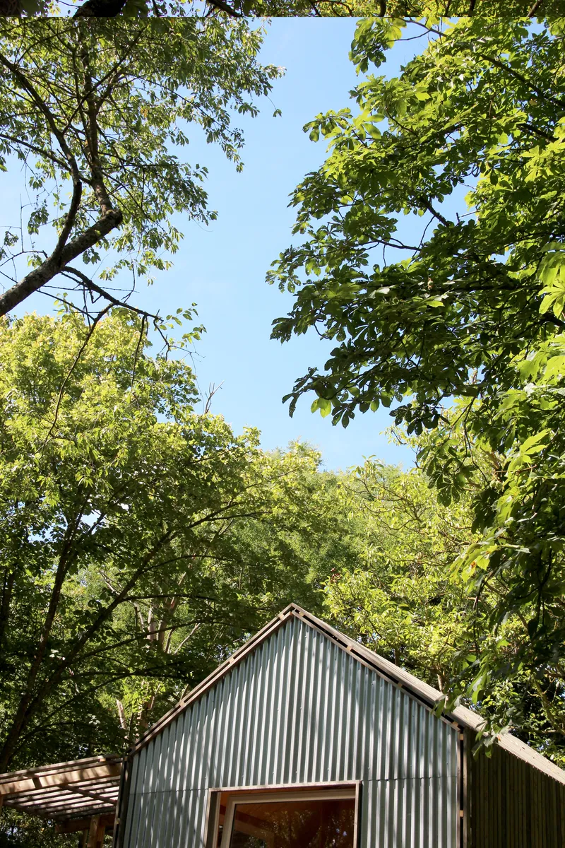 Front gable of the corrugated metal structure framed by overhead tree canopy on a clear day