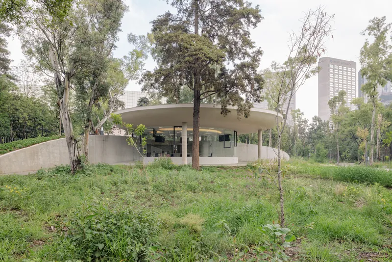 Pavilion with floating concrete roof and glass walls nestled among trees on a sloped green site