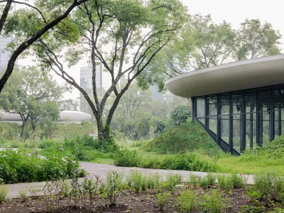 Michan Architecture and PARABASE Scatter Three Pavilions Beneath the Canopy of Chapultepec Forest