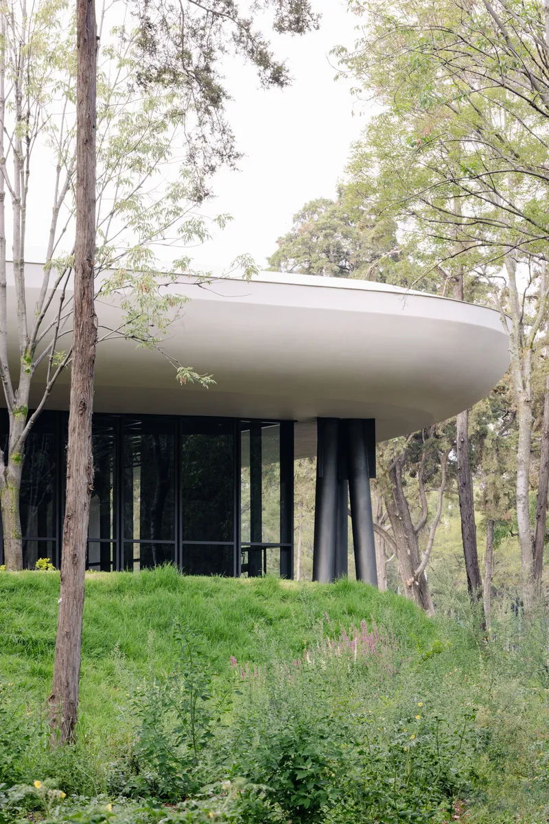 Elevated pavilion on cylindrical black columns surrounded by grassy slope and native trees