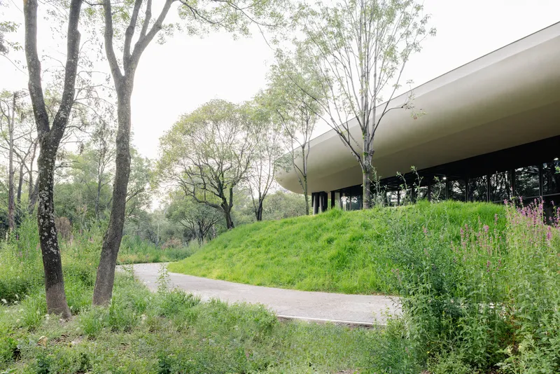 Winding pathway through grassy berm leading to the glazed pavilion beneath curving roof canopy